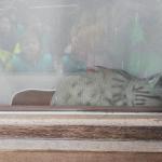 Harry lag nog lekker in zijn huis te slapen toen we onze wandeling gingen doen. Maar nu weten we hem wonen ;)